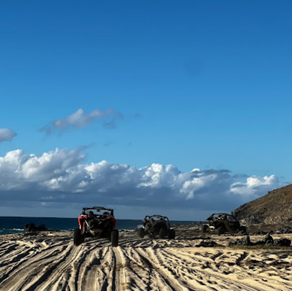 Meet your Posher, Dominic